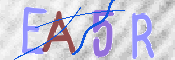 この文字を入力してください
