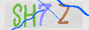 この文字を入力してください