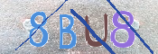 この文字を入力してください