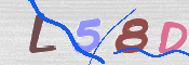 この文字を入力してください