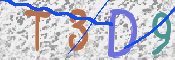 この文字を入力してください