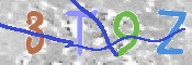 この文字を入力してください