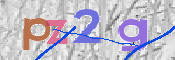 この文字を入力してください
