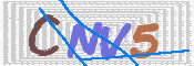 この文字を入力してください