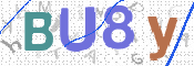 この文字を入力してください