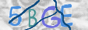 この文字を入力してください