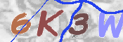 この文字を入力してください