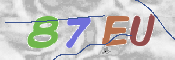 この文字を入力してください