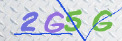 この文字を入力してください
