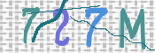 この文字を入力してください