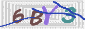 この文字を入力してください