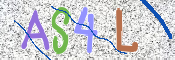 この文字を入力してください