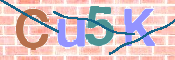 この文字を入力してください