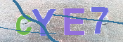 この文字を入力してください