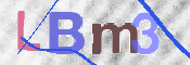 この文字を入力してください