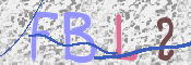 この文字を入力してください