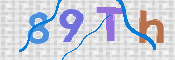この文字を入力してください