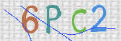 この文字を入力してください