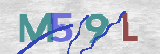 この文字を入力してください