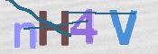 この文字を入力してください