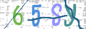 この文字を入力してください