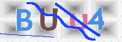 この文字を入力してください