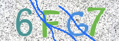 この文字を入力してください