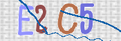 この文字を入力してください