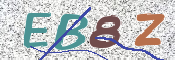 この文字を入力してください