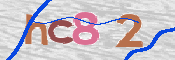 この文字を入力してください