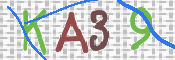 この文字を入力してください