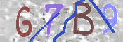 この文字を入力してください