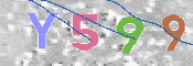 この文字を入力してください