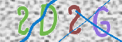 この文字を入力してください
