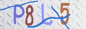 この文字を入力してください