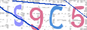 この文字を入力してください