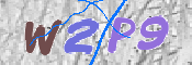 この文字を入力してください