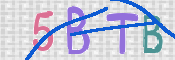 この文字を入力してください
