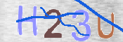 この文字を入力してください
