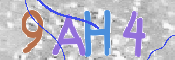 この文字を入力してください