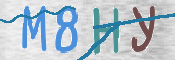 この文字を入力してください