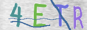 この文字を入力してください