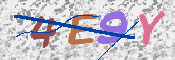 この文字を入力してください