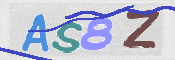 この文字を入力してください