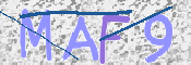 この文字を入力してください