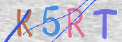 この文字を入力してください