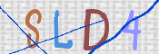 この文字を入力してください
