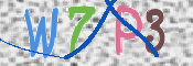 この文字を入力してください