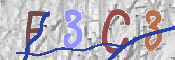 この文字を入力してください