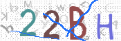 この文字を入力してください